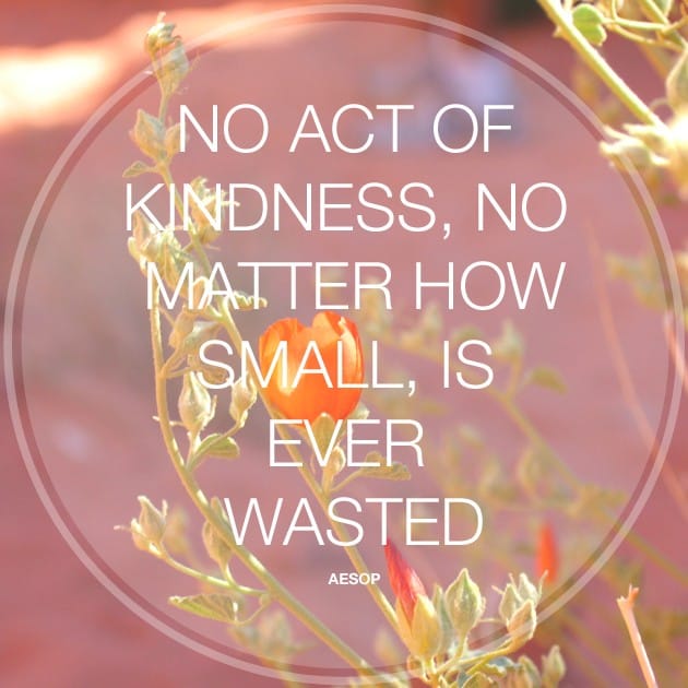 No act of kindness no matter how small is ever wasted