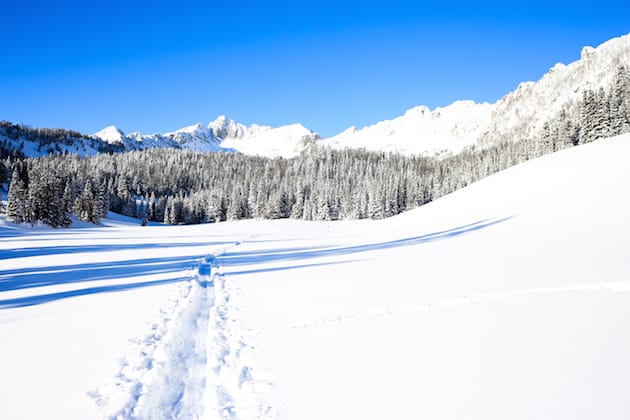 5 Reasons to Love Snowshoeing 8