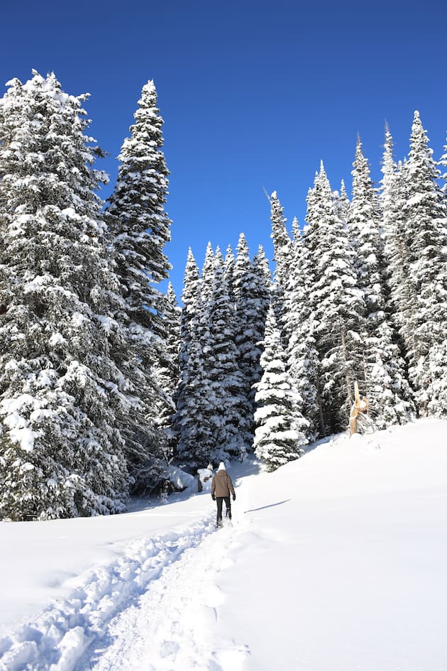 Snowshoeing for Exercise